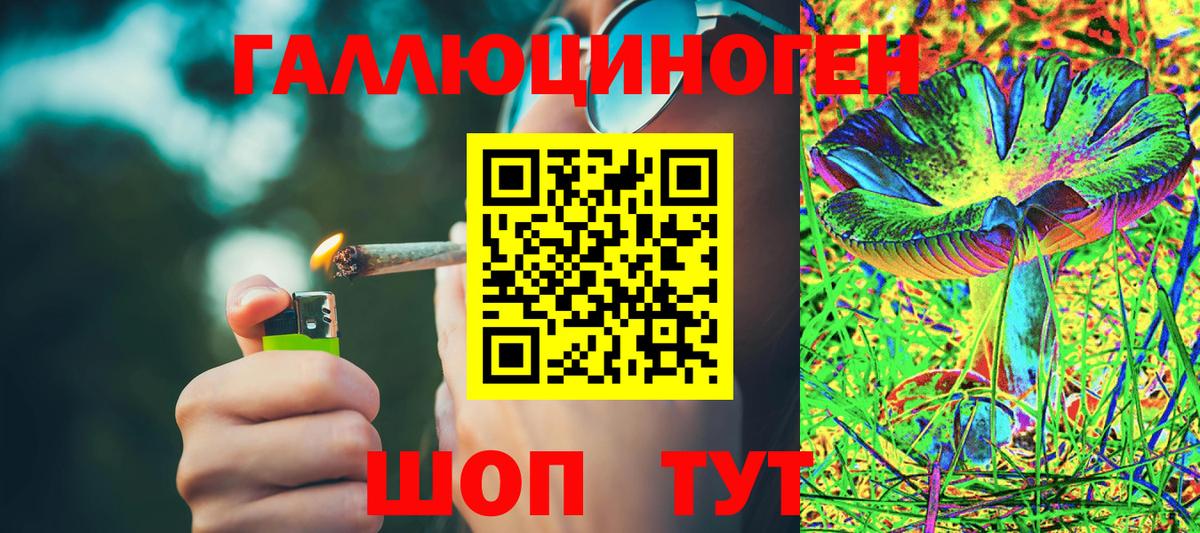 Галлюциногенные грибы Psilocybine cubensis  Вход с VPN  Трёхгорный  Галлюциногенные грибы Magic Shrooms 